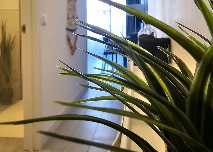 524 Ocean Dreams Americas Appartement