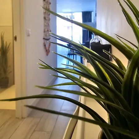524 Ocean Dreams Americas Apartment
