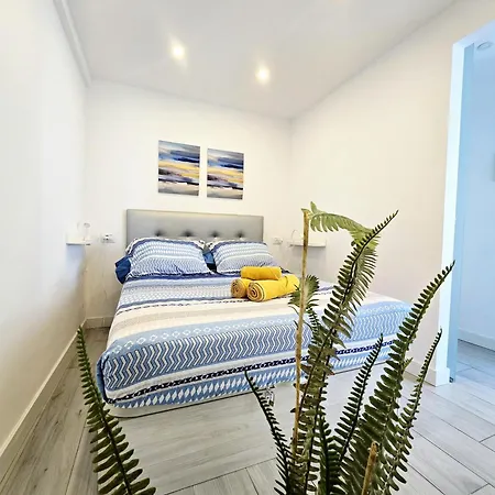524 Ocean Dreams Americas Apartment