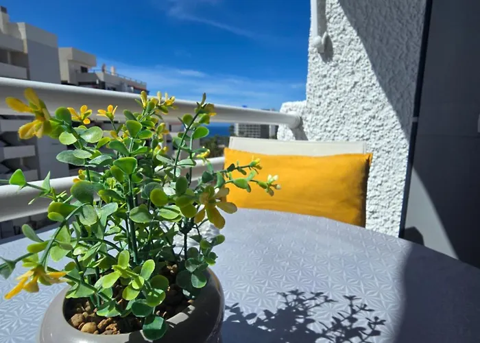 Lejlighed 524 Ocean Dreams Americas